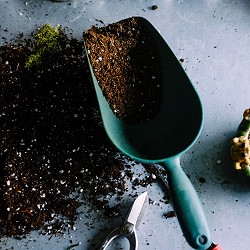 scoop filled with compost (image: Nesilhan Gunaydin on Unsplash)