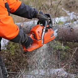 arms and hands in heavy PPE holding an orange chainsaw cutting a log